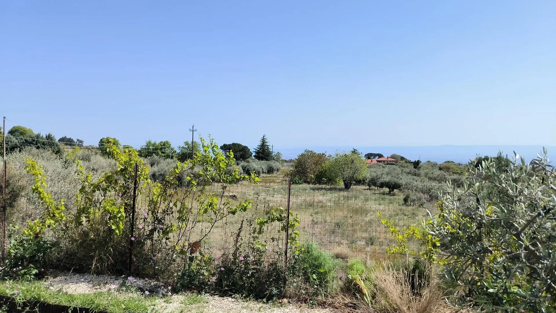 Casa di campagna Villa Egle Belpasso, villa vacanza con piscina