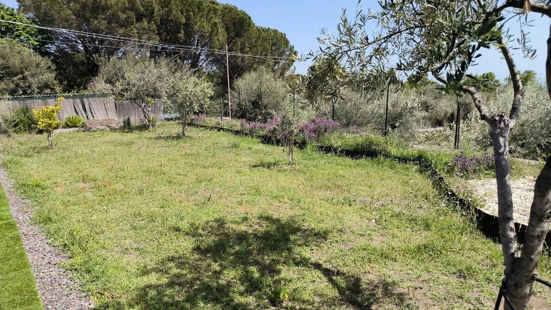 乡村民宿 Villa Egle Belpasso, Villa Vacanza Con Piscina